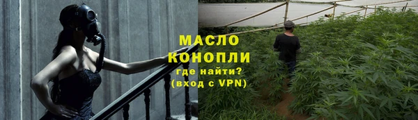 дживик Богородицк