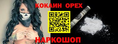 кокс Гатчина