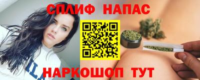 spice Гай