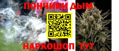 кокс Гатчина
