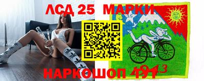 кокс Гатчина