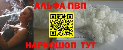 кокс Гатчина