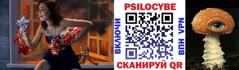 дарк нет телеграм  Коломна  Галлюциногенные грибы мухоморы 