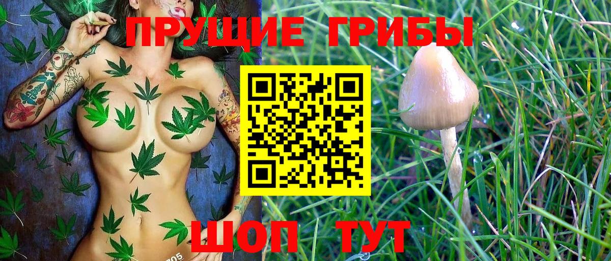 Псилоцибиновые грибы прущие грибы  Коломна 