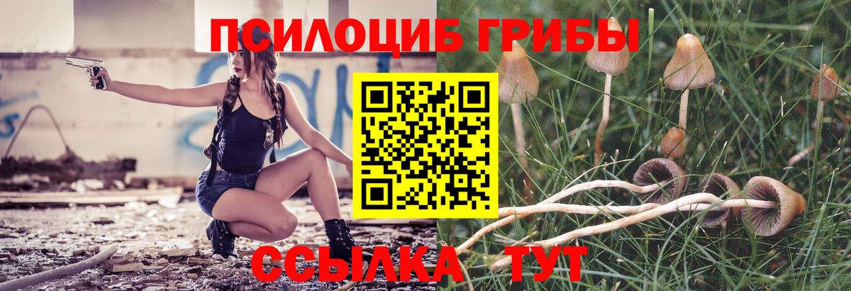 CBD масло  Альфа ПВП  ГАШ  Круглые  Купить закладку  Вход с VPN  Мяу-Мяу  Cocaine  Коломна  Конопля 