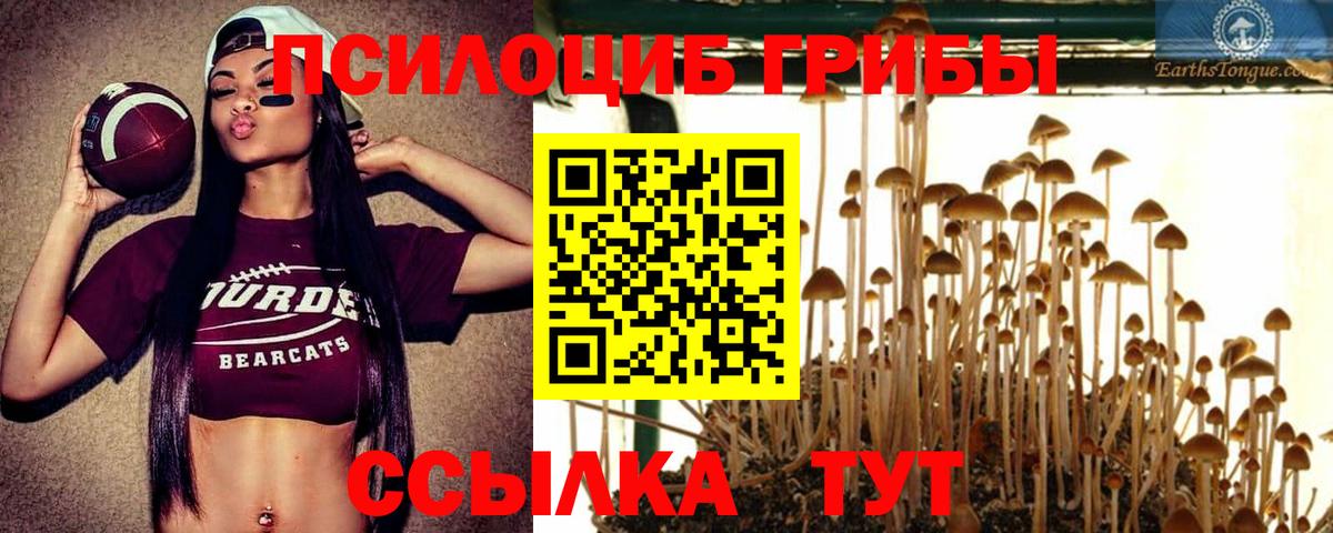 Коломна  Псилоцибиновые грибы MAGIC MUSHROOMS  Вход с VPN 